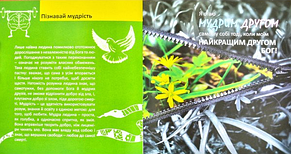 Час дорослішати. М. Дзєвецький, фото 4