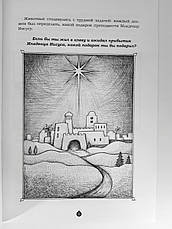 Перший Адвент. Історії та завдання Майкл Дж. Ларсон, фото 4