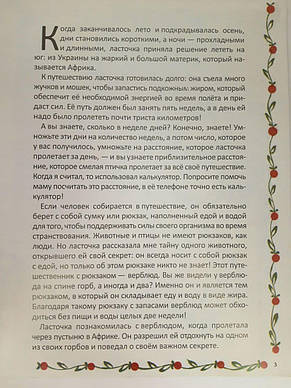 Книга "Сказка о ласточке." Ст. Сирюк (рос.), фото 3
