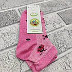 Шкарпетки дитячі літні з сіткою ЕКО р.14 (3-4 роки) короткі для дівчинки сонечко випадкове асорті 30035462, фото 4