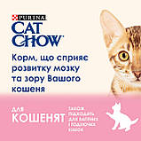 CAT CHOW Kitten Для кошенят з куркою 15кг, фото 3
