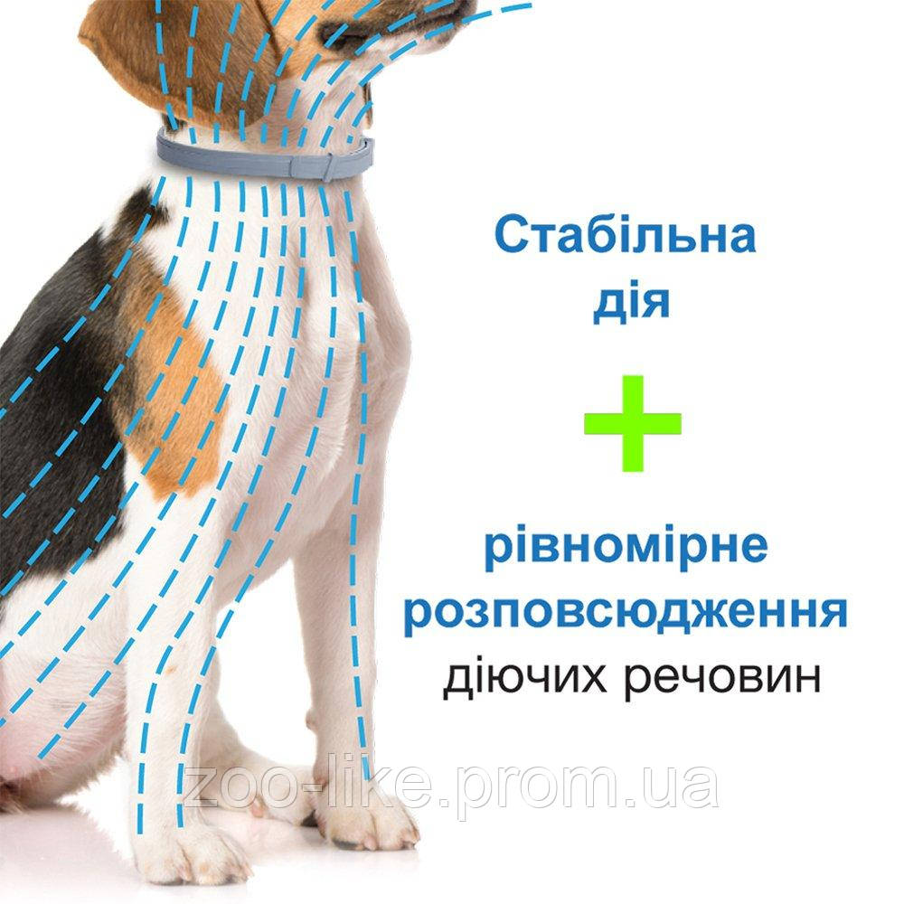 Ошейник Bayer Foresto против блох и клещей для собак, 70 см - фото 4 - id-p995014291