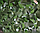 Маскова сітка двостінка, захисна, затінювальна 2 х 6 м зелена, фото 3