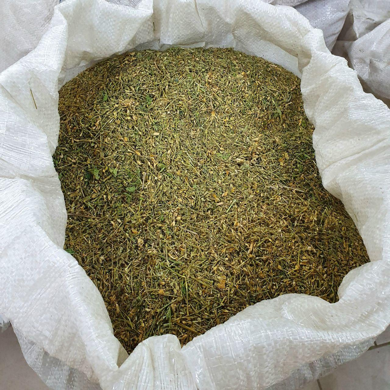 Зірочник трава (мокрець)