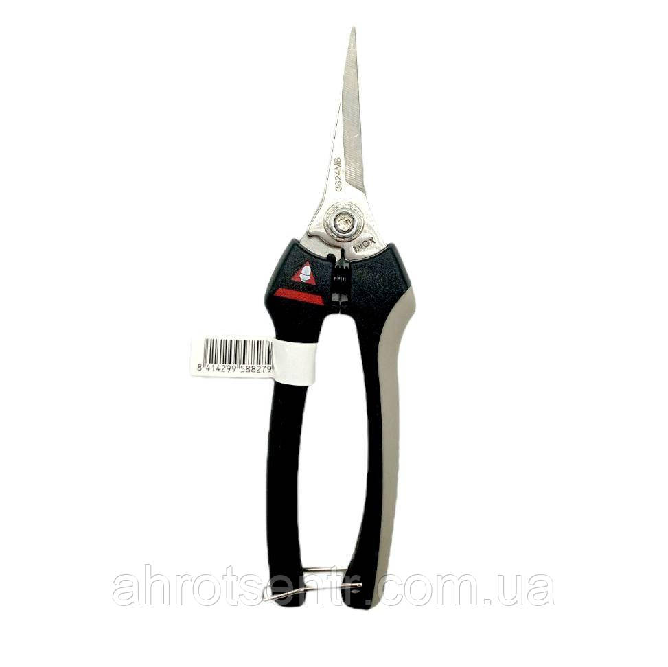 Секатор для збору винограду Bellota (3624-INOX.B) Іспанія