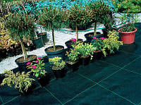 Агротекстиль для мульчування (Польща)