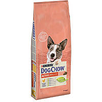 DOG CHOW Active корм для собак з куркою  14кг