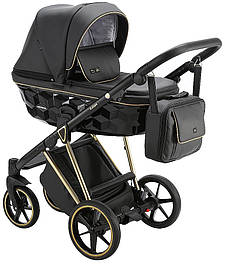 Дитячі коляски 2 в 1 Adamex Paolo