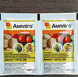 Інсектицид Ампліго 4 мл, фото 3