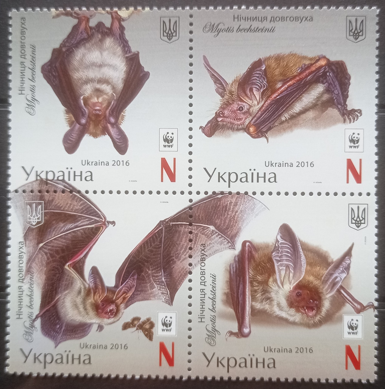 Квартблок 4 марки Украина 2016 N фауна летучие мыши кажаны MNH - фото 1 - id-p385934365