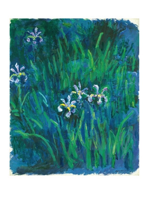 Листівка Claude Monet — Iris, 1840