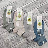 Шкарпетки дитячі короткі літні з сіткою ЕКО р.16 (5-6 років) спорт асорті 30035477, фото 2