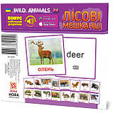 КАРТКИ МІНІ Лісові мешканці 110Х110 ММ. ZIRKA 66425, фото 2