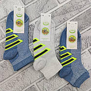 Шкарпетки дитячі короткі літні із сіткою ЕКО р.18 (7-8 років) спорт асорті 30035499, фото 2