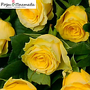 Іліос (Ilios), фото 6