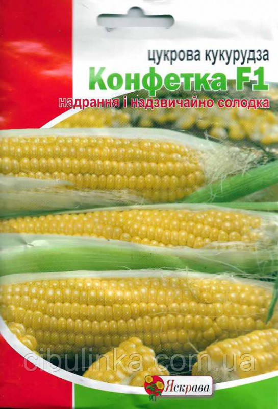 Насіння Кукурудза цукрова Цукерка F1 10 г, фото 1