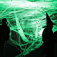 Паутина зеленая с пауками - декор на хэллоуин!