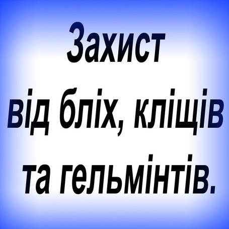 Захист від бліх, кліщів та гельмінтів.