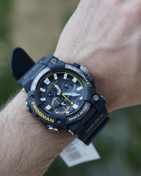 Frogman multiband 6 deals
