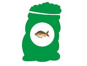 Риби