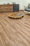 Ламінат Kaindl Дуб FRESCO LODGE RE K4381 32 клас 10 мм Дизайнерський, фото 3