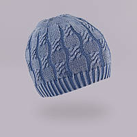 Демисезонная шапка для мальчика TuTu арт. 3-002532(46-50, 50-54)