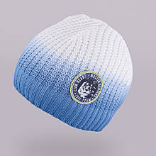 Зимова шапка для мальчика TuTu арт. 3-002531(48-52, 52-56)