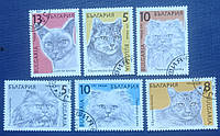6 марок Болгарія 1989 фауна кішки гаш