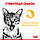Вологий корм для дорослих котів ROYAL CANIN SENSORY TASTE JELLY 0.085 кг, шматочки у желе, cтимулює смак, фото 4