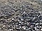 Щебень ЩПС 0-70 С5, фото 4