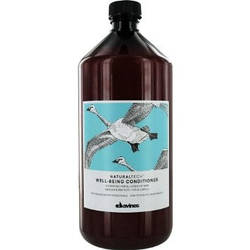 Кондиціонер зволожувальний для волосся Davines Natural Tech Well-being conditioner 1000 мл