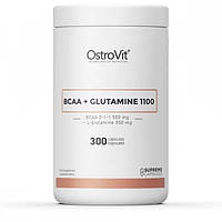 BCAA+GLUTAMINE 1100мг Ostrovit (300 капсул)