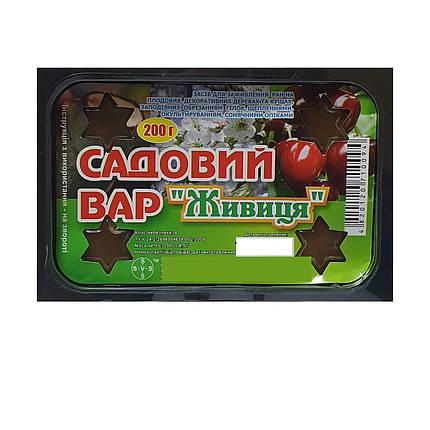 Фунгіцид Садовий Вар Живиця 200 г