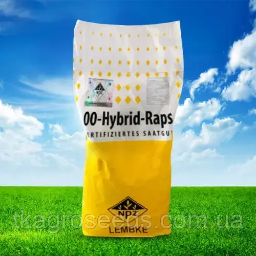 Насіння озимого ріпаку ТРУМПФ, NPZ-Lembke  ( Лембке)