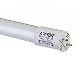 Світлодіодна лампа G13, T8, 600мм, 9W 6000K, фото 2