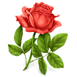 Троянди Полтава