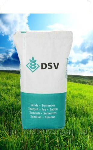 Насіння озимового ріпака Крокодил, DSV, фото 1