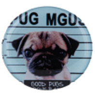 PopSocket Circle (Pug 03)