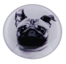 PopSocket Circle (Pug 05 White)