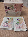 Lipox9 для схуднення. Акція на Ліпо Х9 . Офіційний сайт, фото 2