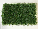Штучна трава Congrass Amsterdam 30 - ширина 4 метри /безкоштовна доставка/ - єВідновлення, фото 2