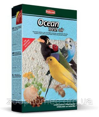 Ocean fresh air