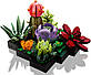 Lego Botanicals Сукуленти 10309, фото 5