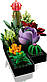 Lego Botanicals Сукуленти 10309, фото 6