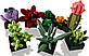 Lego Botanicals Сукуленти 10309, фото 7