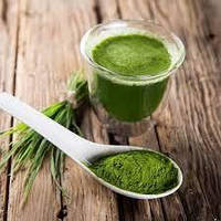 Витграсс порошок(порошок молодой пшеницы) 0,5 кг