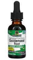 Nature's Answer, goldenseal root, экстракт желтокорня, без спирта, 500 мг, 30 мл (1 жидк. унция)