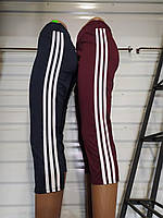 Бриджі-треки жіночі, подовжені БАТАЛ (XL-4XL) гуртом купити від складу 7 км Одеса