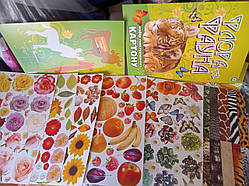 Картон текстурований 10 аркушів Флора та фауна квіти листя метелика фрукти Лунапак