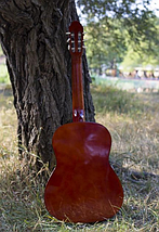 Гітара класична Almira CG-1702 NAT (4/4 ), фото 2